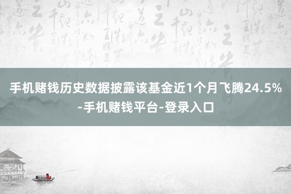 手机赌钱历史数据披露该基金近1个月飞腾24.5%-手机赌钱平台-登录入口